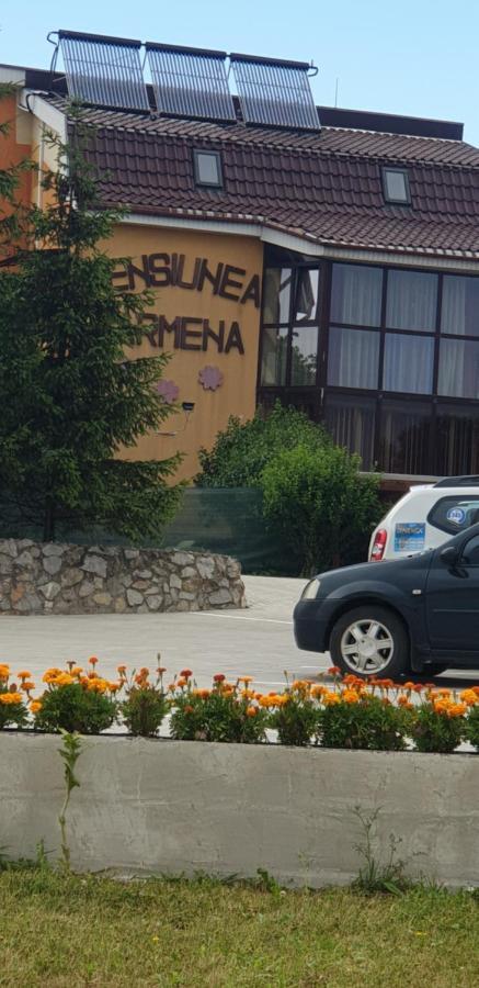 Pensiunea Carmena Băile Felix Zewnętrze zdjęcie